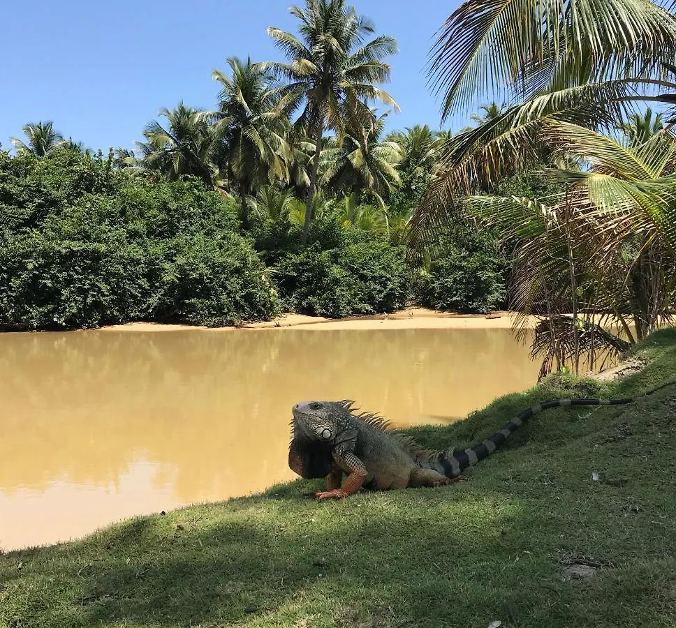 Auberge de jeunesse Casa Coral à Luquillo Porto Rico